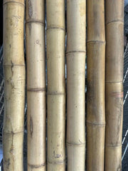 2"-3" Thick Bamboo Poles