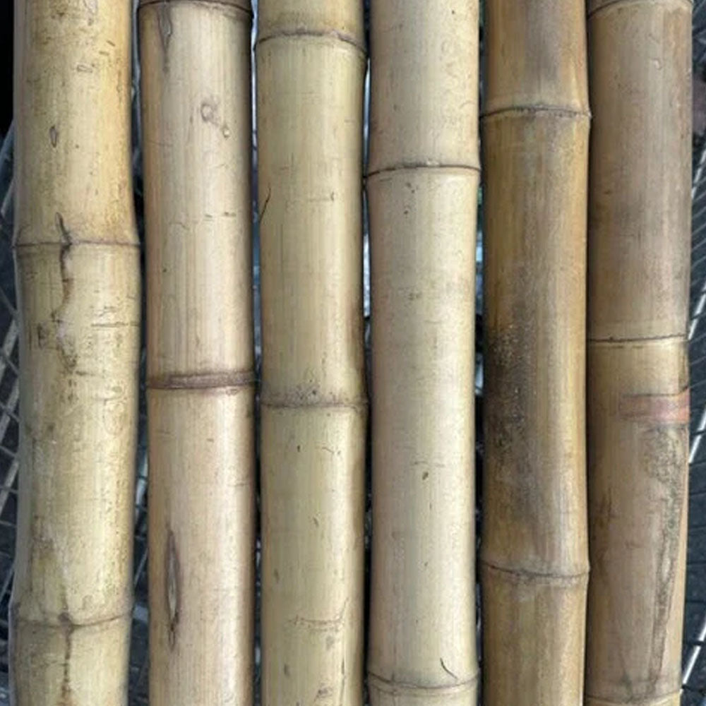 2"-3" Thick Bamboo Poles